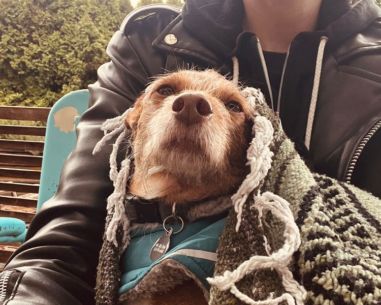 More of this, please x April 2025