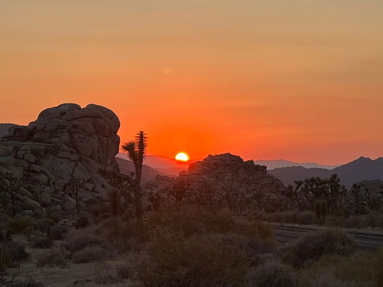 Every day I choose to not murder the vacuum