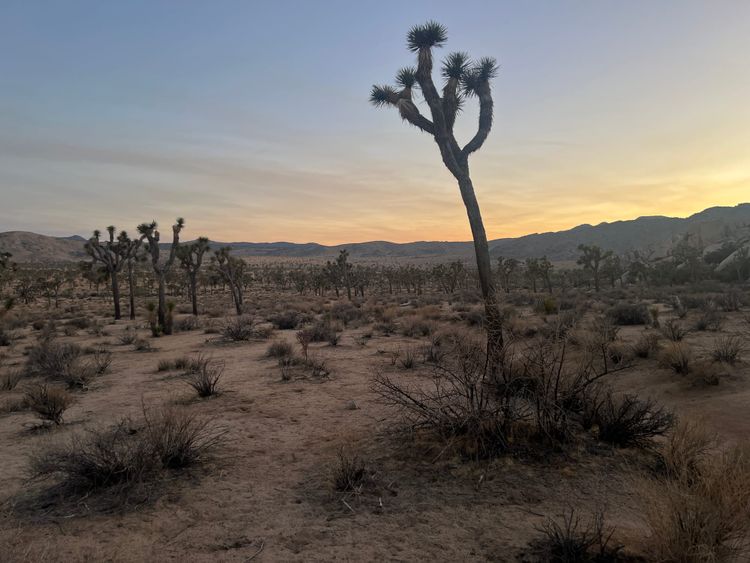 The responsibility never goes away