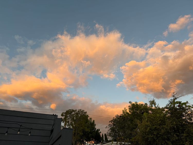 More of This, Please x November, 2025