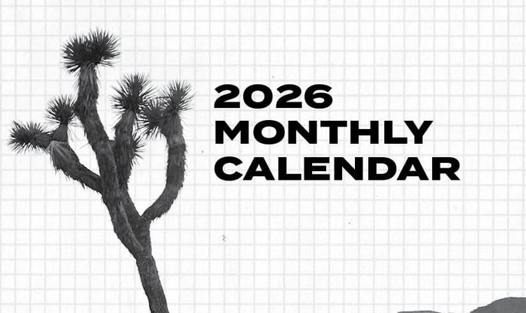 My 2026 Ins and Outs