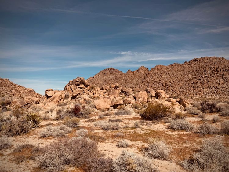 The radicalizing power of singing and dancing