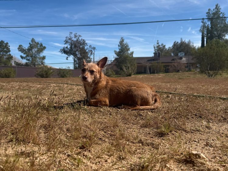 More of This, Please x March 2026