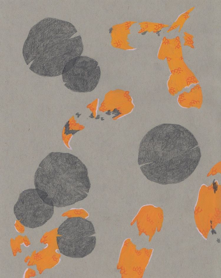 What happens when I want to draw fish