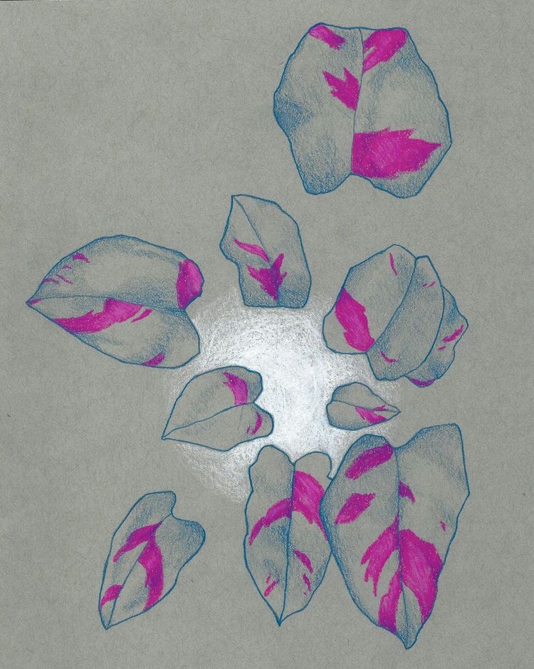 It all makes sense now!