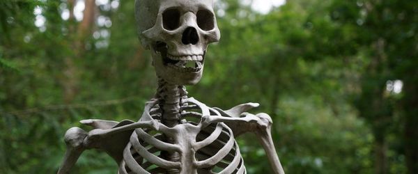 Important Vitamin for Bones That No One Knew