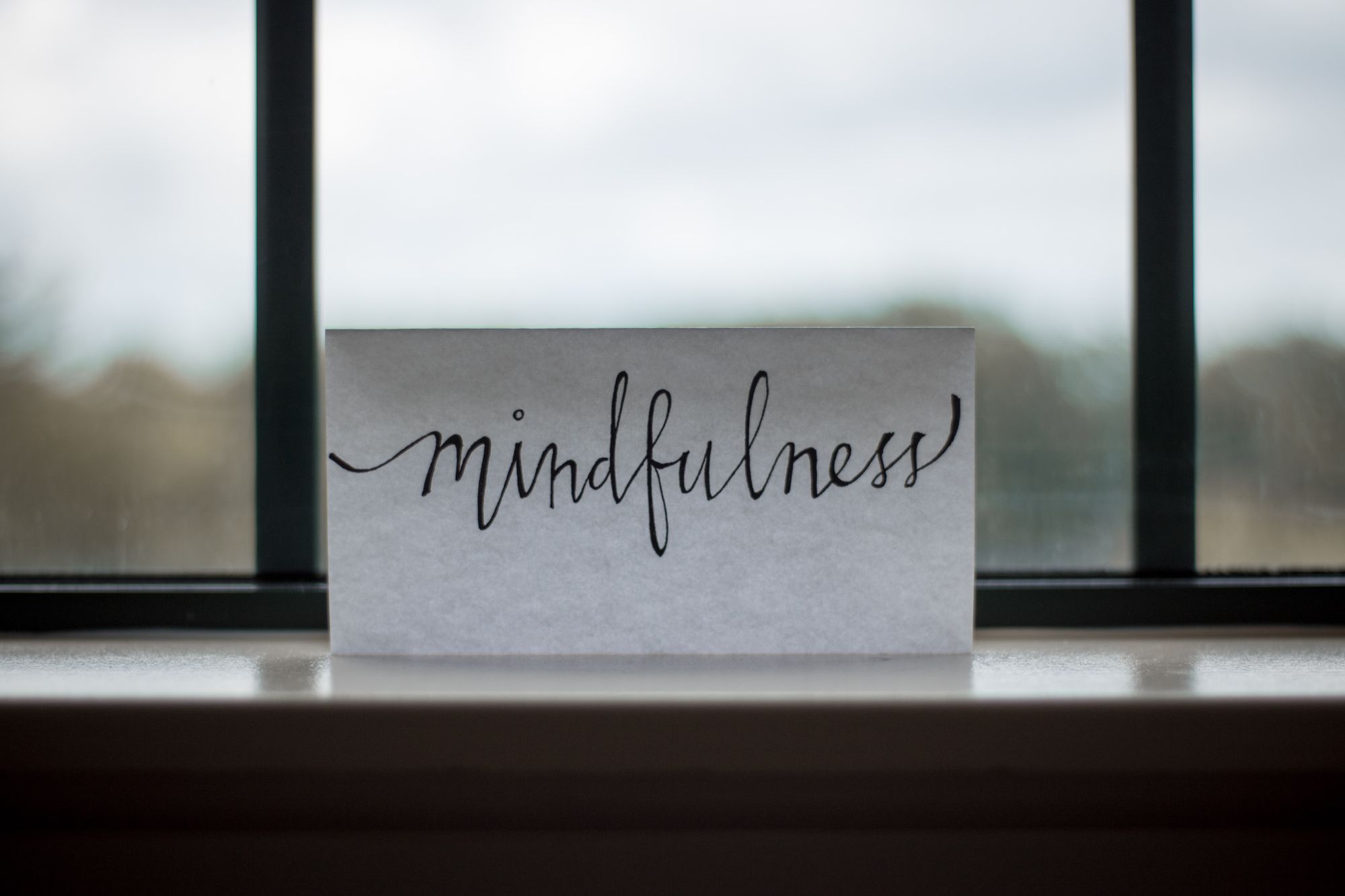 BookShorts:The Heartfulness Way