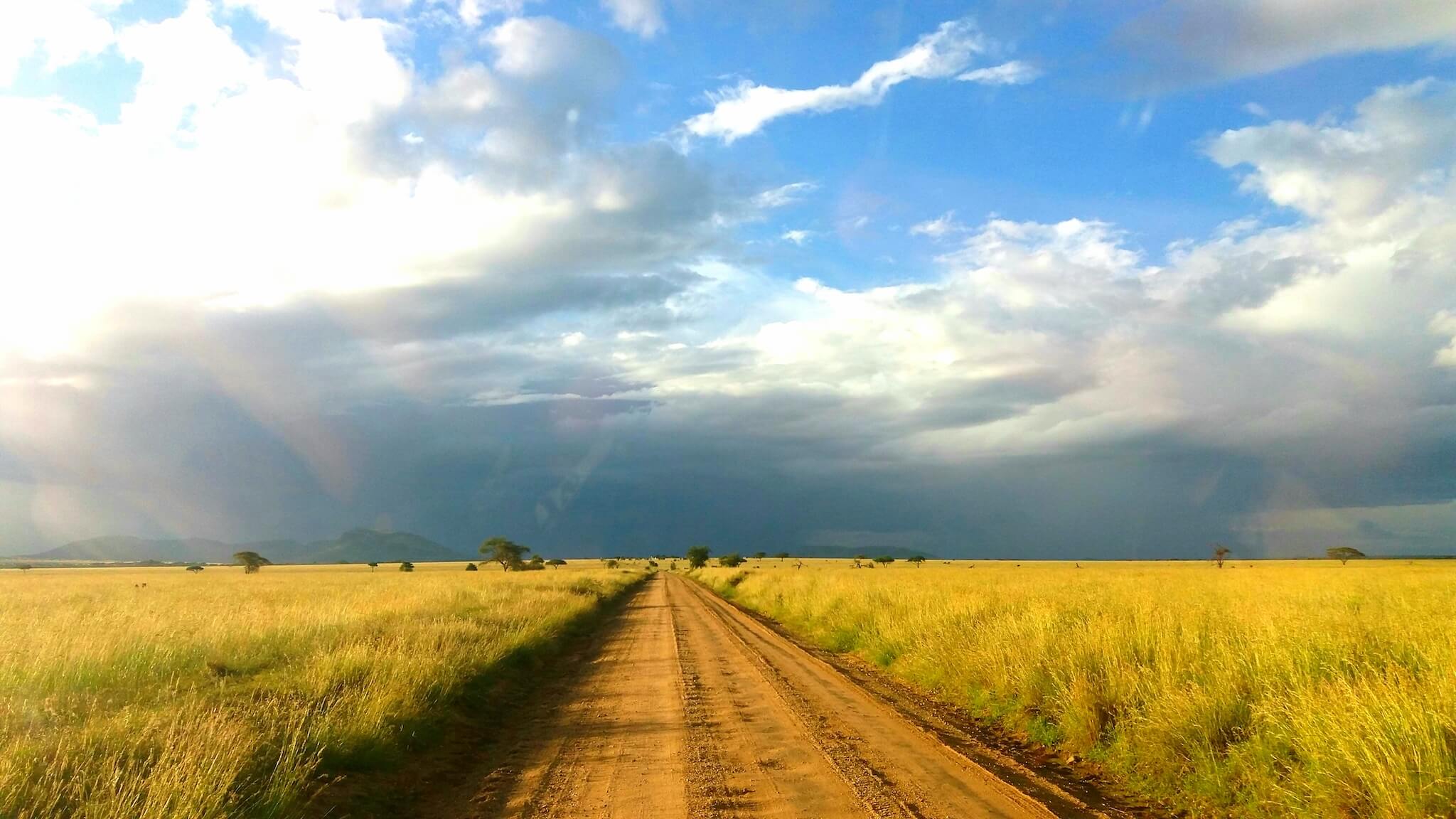 Innovation on the Open Road