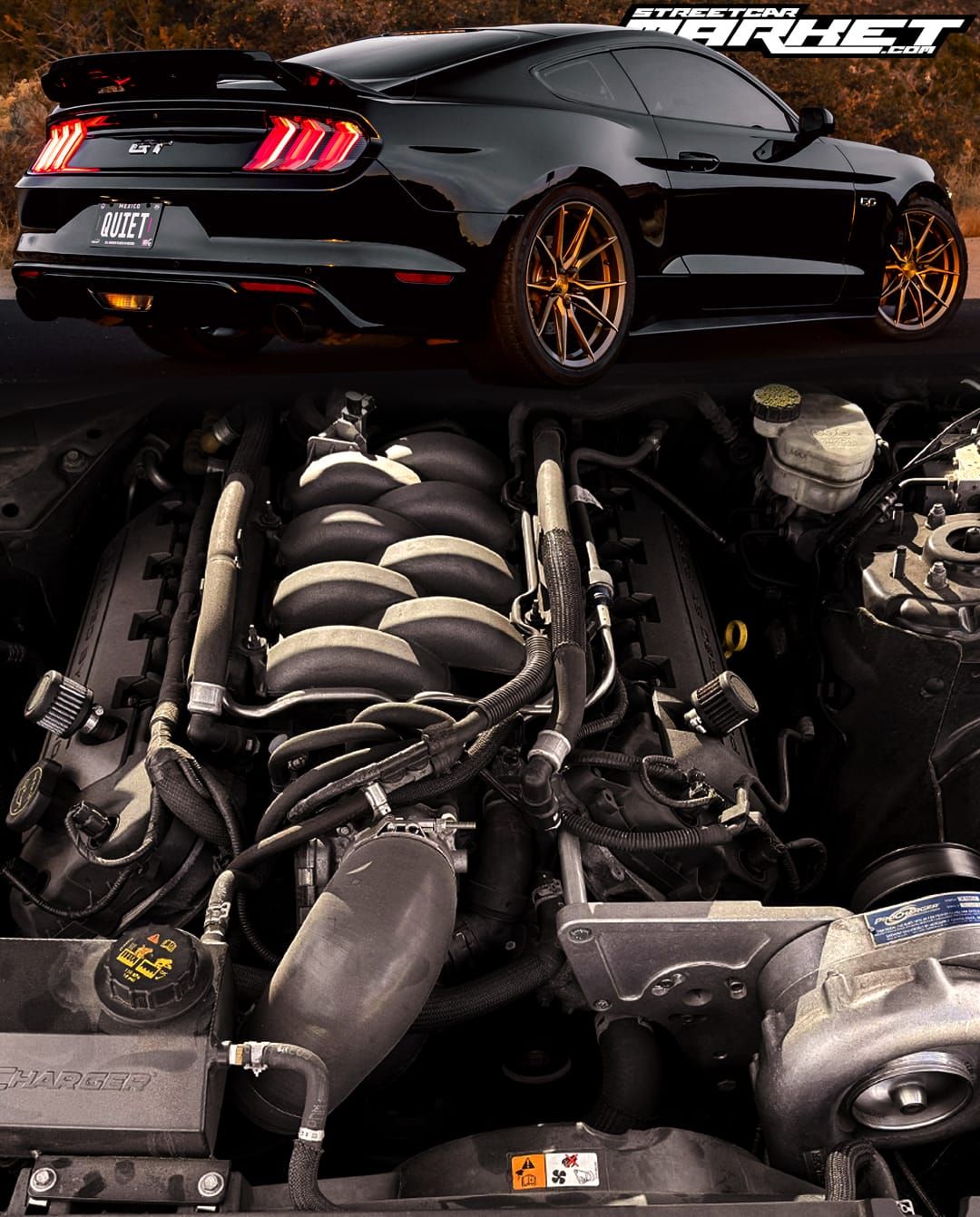 690whp 2017 Ford Mustang GT