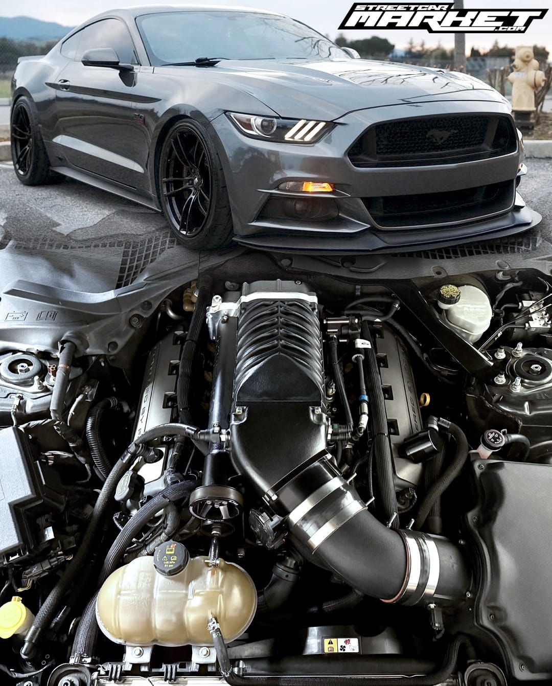 692whp 2016 Ford Mustang GT PP