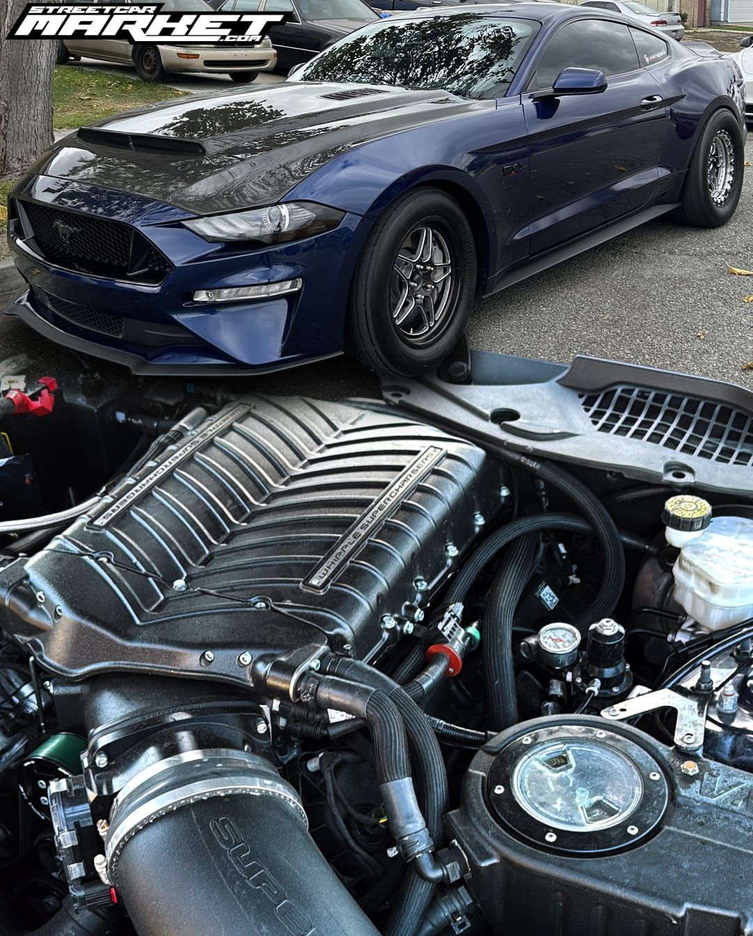 1100+whp 2019 Ford Mustang GT