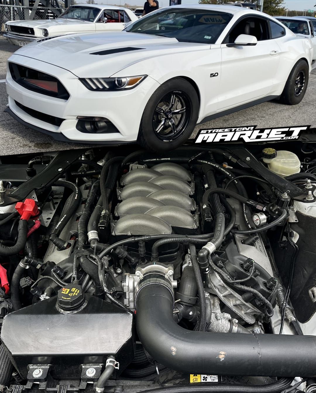 1200whp 2015 Ford Mustang GT