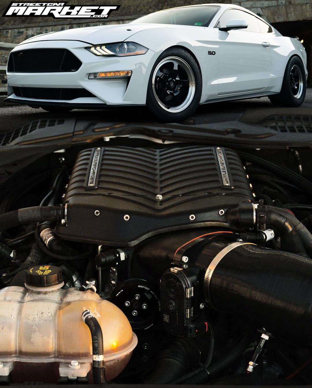 ~900whp 2019 Ford Mustang GT