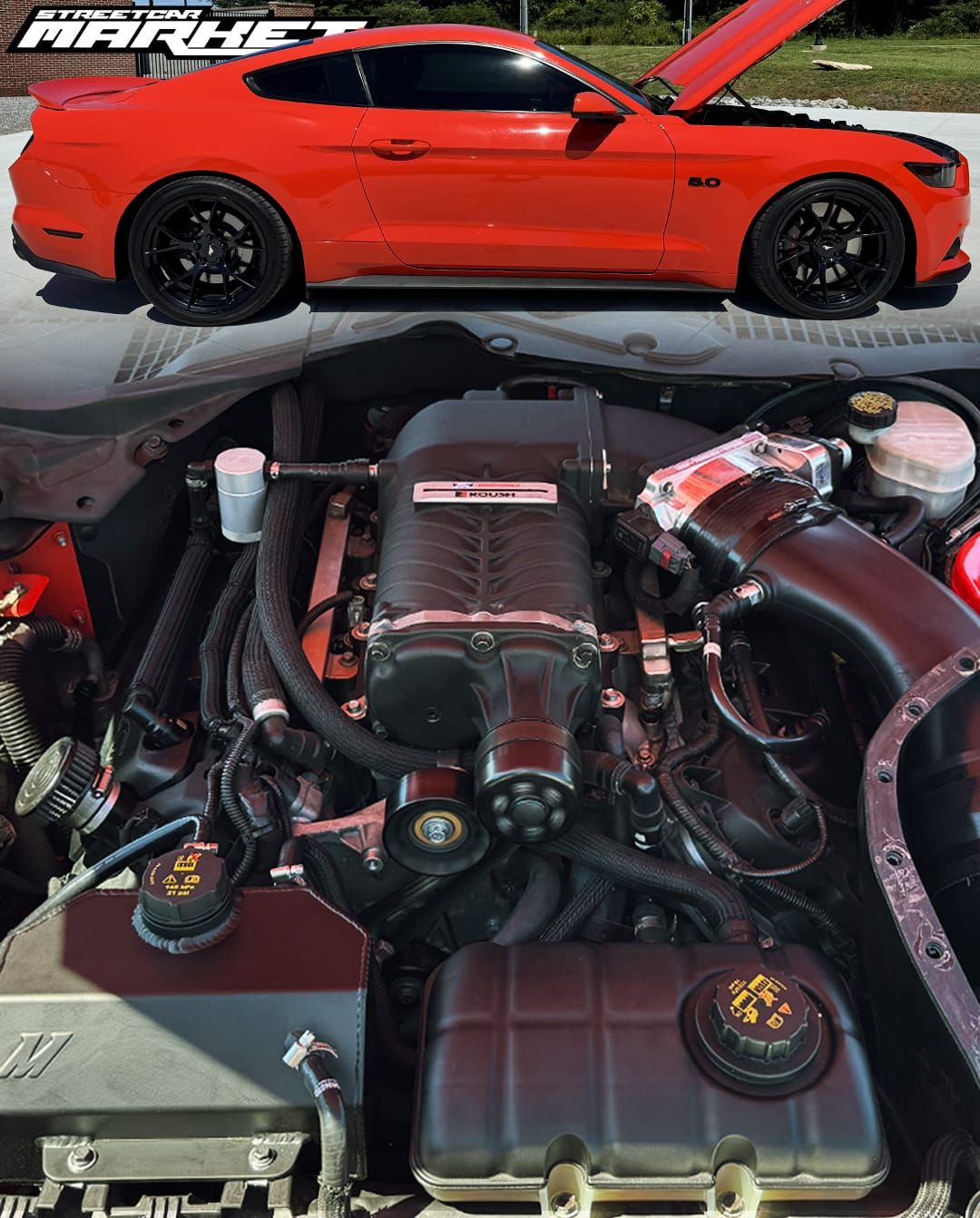 ~900whp 2015 Ford Mustang GT Premium