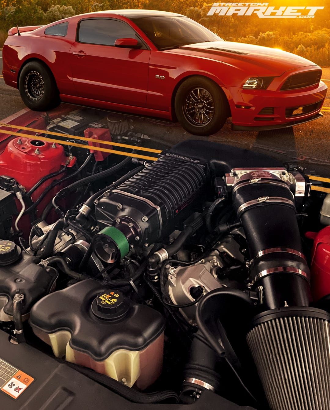 900whp 2014 Ford Mustang GT