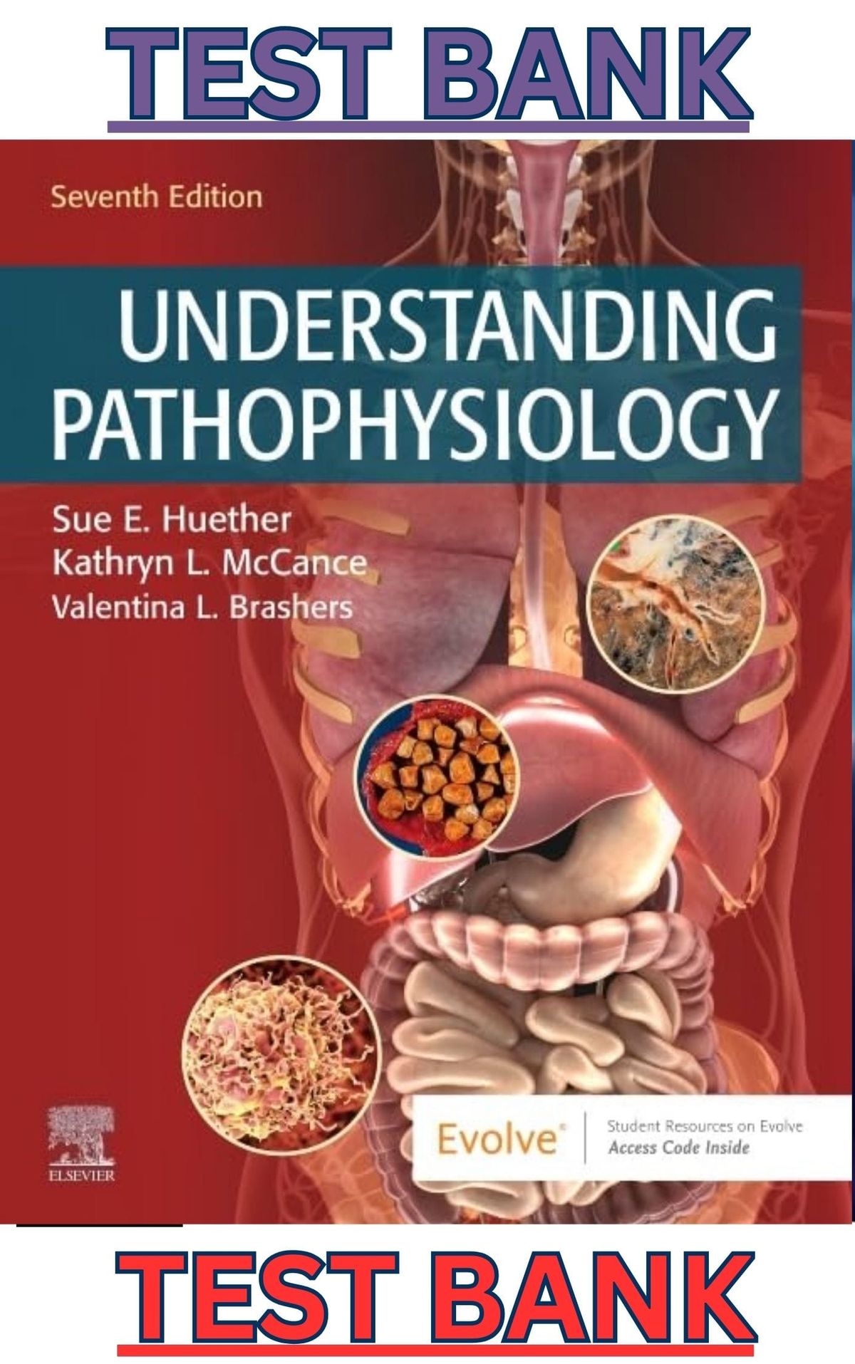 TEST BANK for Understanding Pathophysiology 7th Edition by Sue Huether, Kathryn McCance & Valentina Brashers