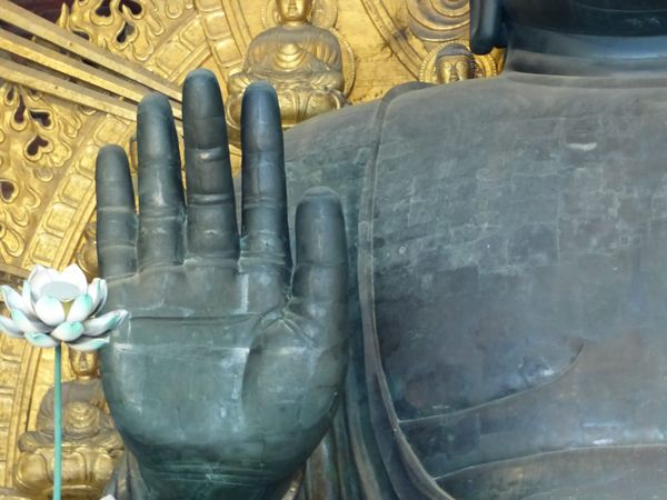 Hello (ahem, ¡hola!)