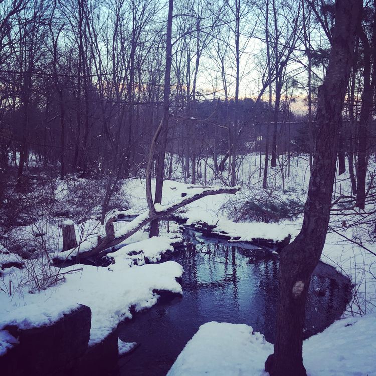 A cold, dark flow of water between snowy banks and bare trees. The sky is lit blue and gold.