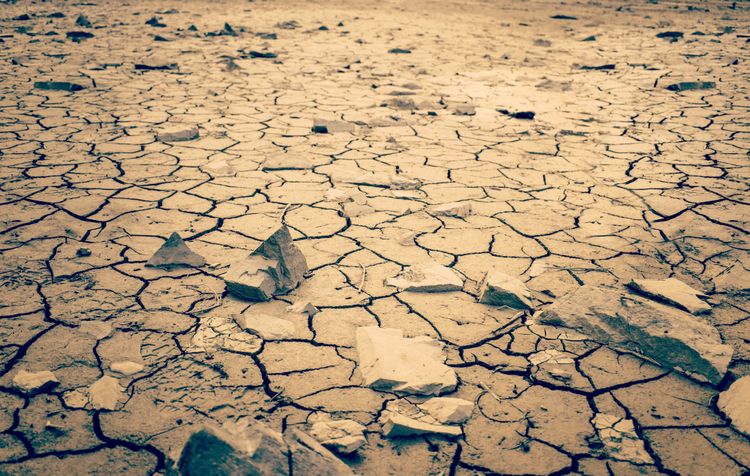 A cracked clay ground surface, as of a dry river or lakebed, in sepia tones.