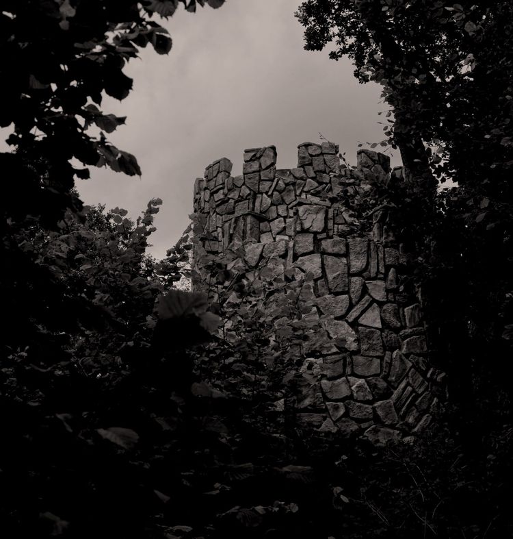A castle turret with irregular masonry. It's viewed between trees. Image is monochrome.