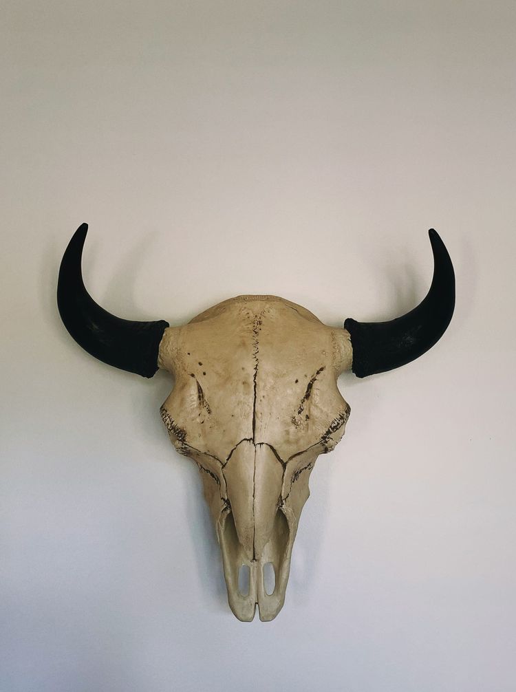 Monthly Music Mailing: Taurus Season