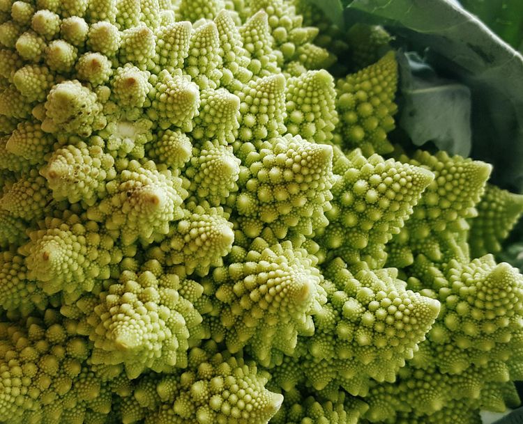 Swirling, fractally arrayed cones of green-white plant matter.