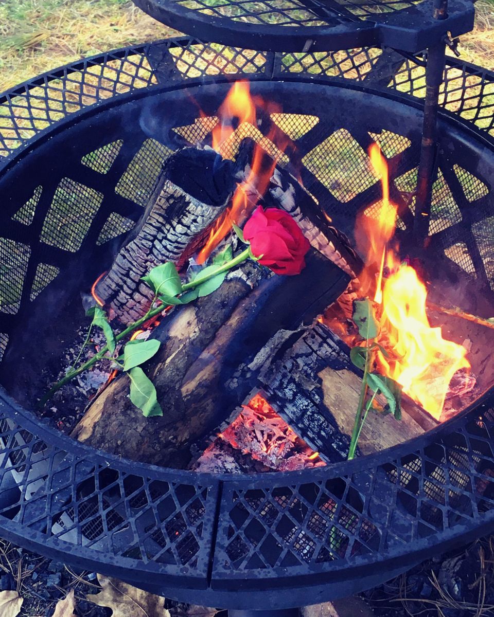 A rose burning in a fire