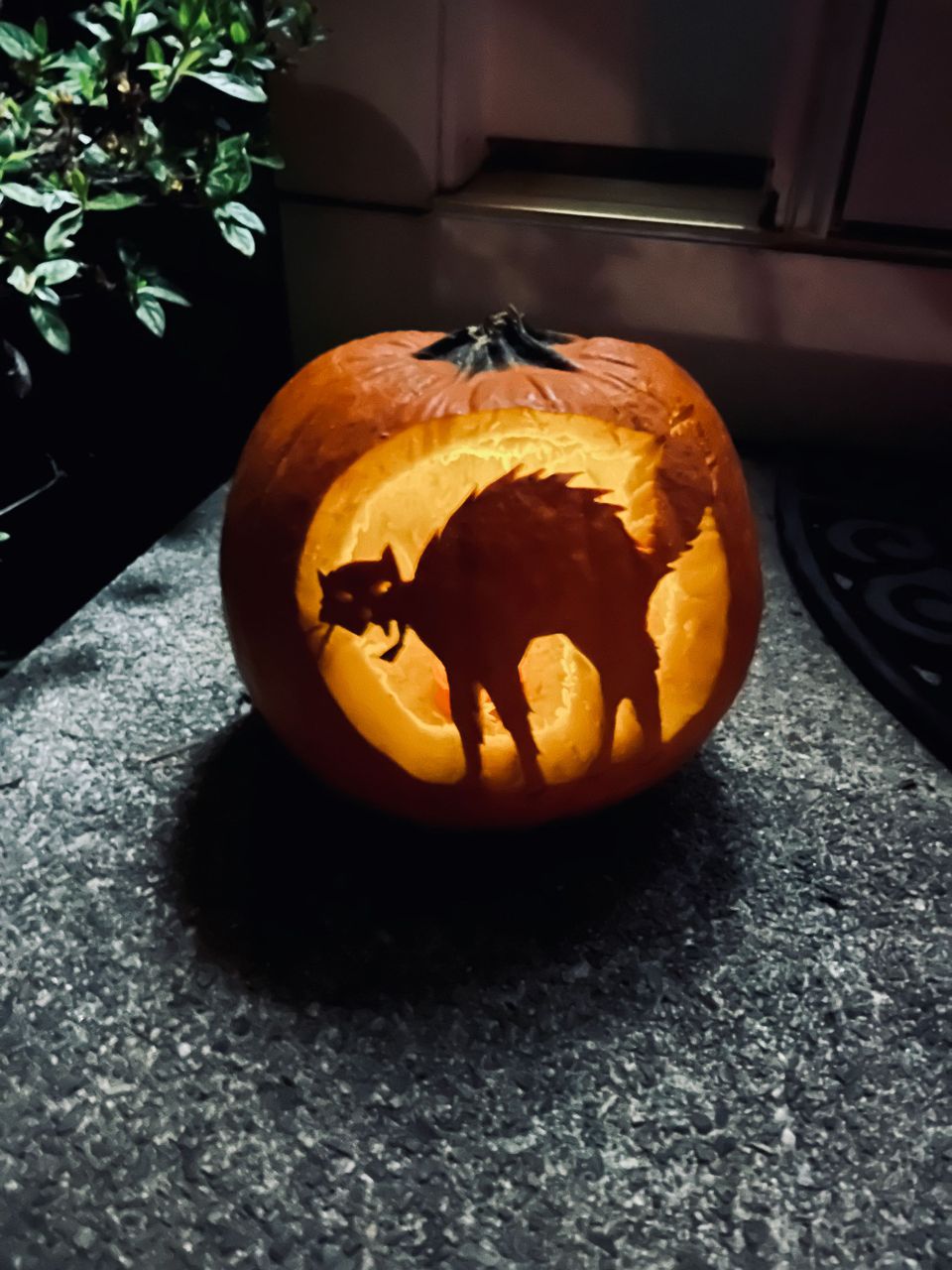 An orange jack o'lantern carved like a spitting, arched cat. It's lit from within and sits in the dark on a concrete step.