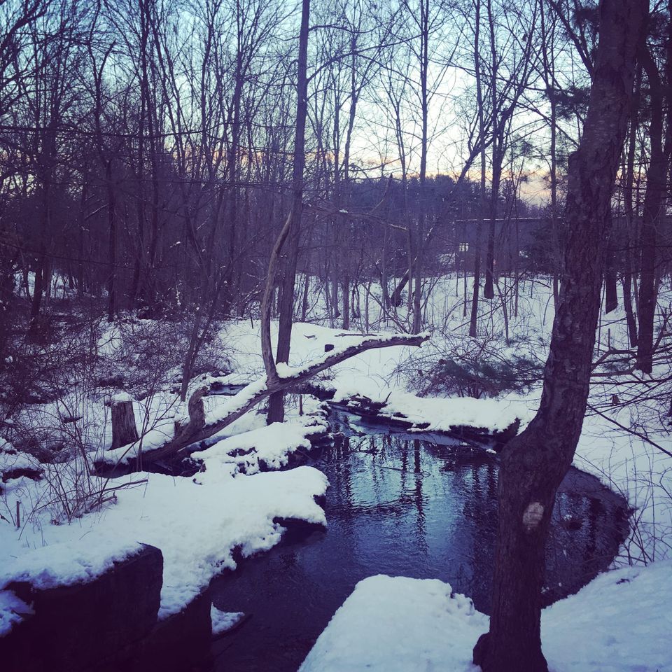 A cold, dark flow of water between snowy banks and bare trees. The sky is lit blue and gold.