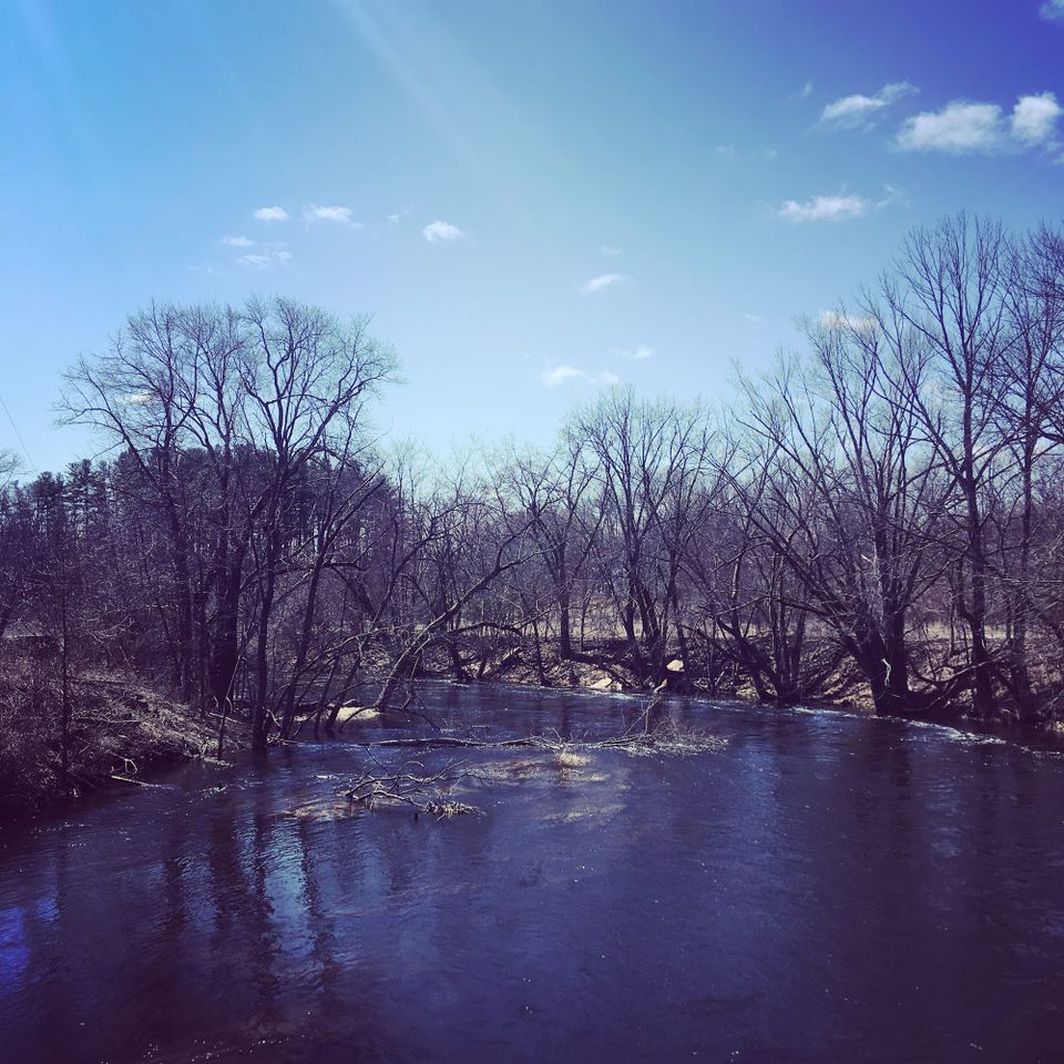 A clear, smooth-flowing river reflects the blue of the sky above. It's surrounded by bare, dark trees.