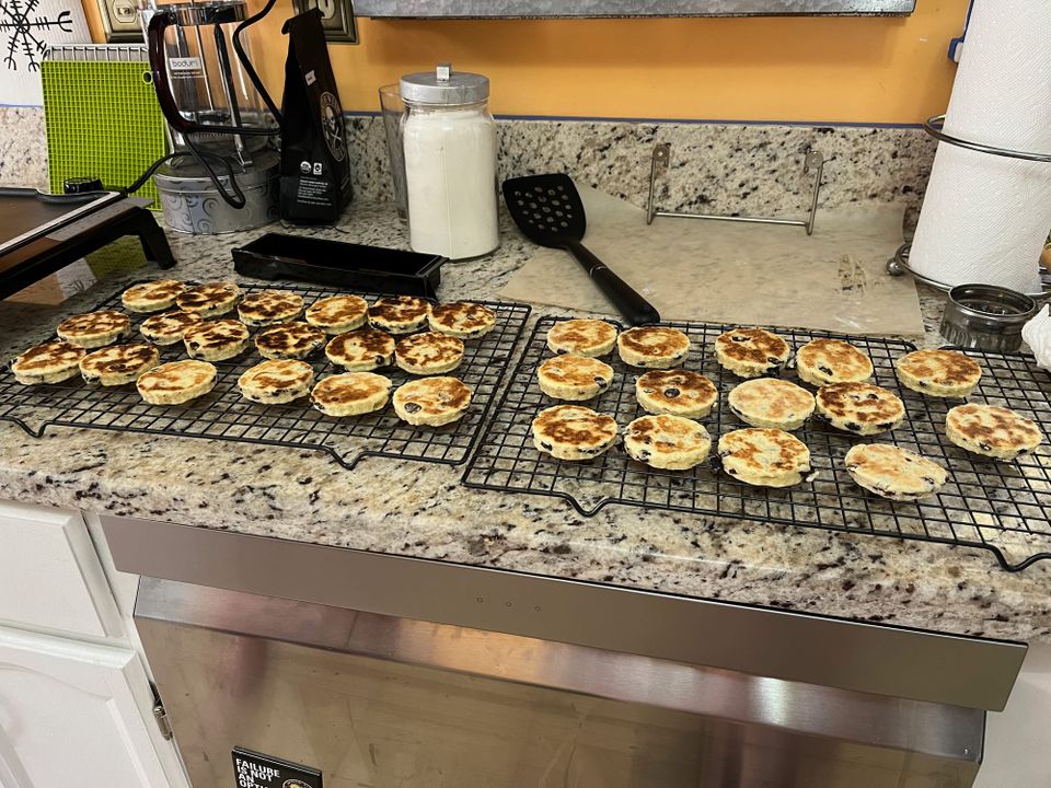Flat griddle cakes, their sides either dark or golden brown, studded with currants. They're on a cooling rack.
