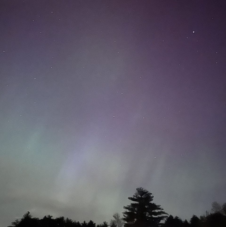 Green and pink-purple Northern Lights shimmering against a backdrop of faint stars. The horizon is black trees.