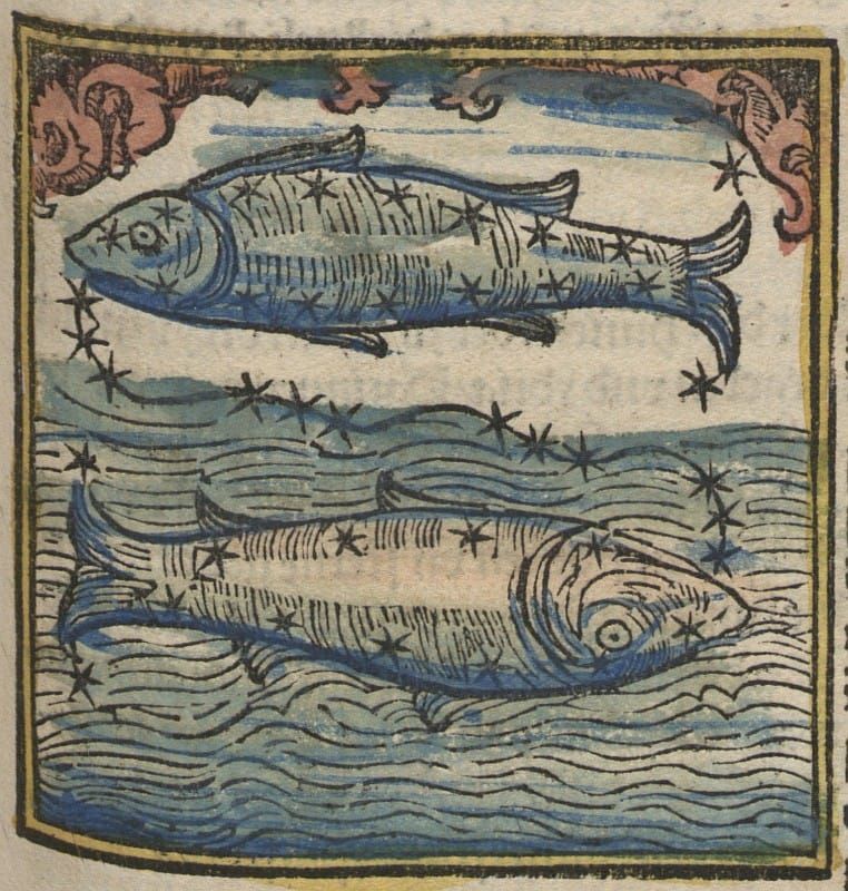 A woodcut with thick black lines showing two blue fish coated in stars and connected by a cord.