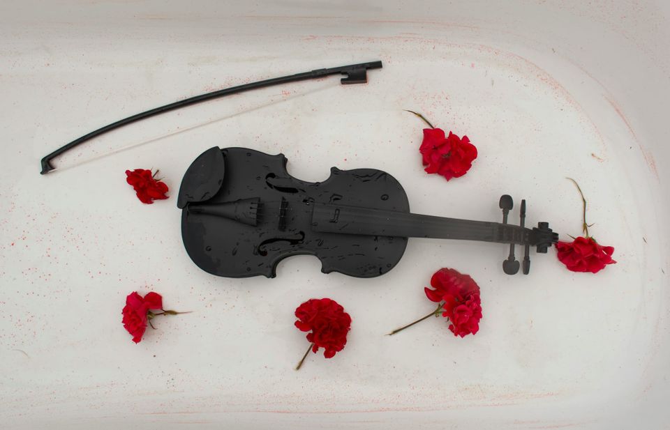 A jet black violin spattered by water droplets. It sits at the bottom of a bathtub with its bow nearby, surrounded by red rose blooms.