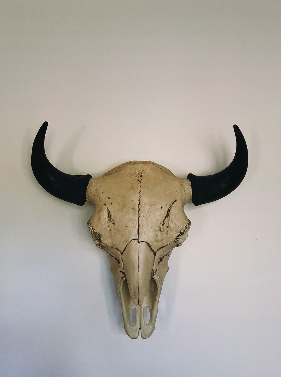 Monthly Music Mailing: Taurus Season