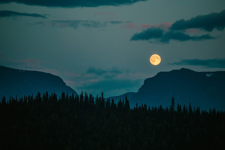 A landscape: the black silhouettes of conifer trees in front of bluish mountainous terrain. The sky is twilight blue with patchy clouds and the Moon rises full.