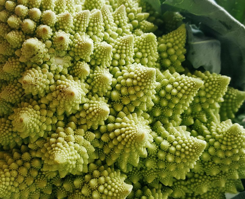 Swirling, fractally arrayed cones of green-white plant matter.