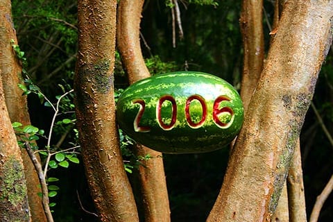 Hola 2006