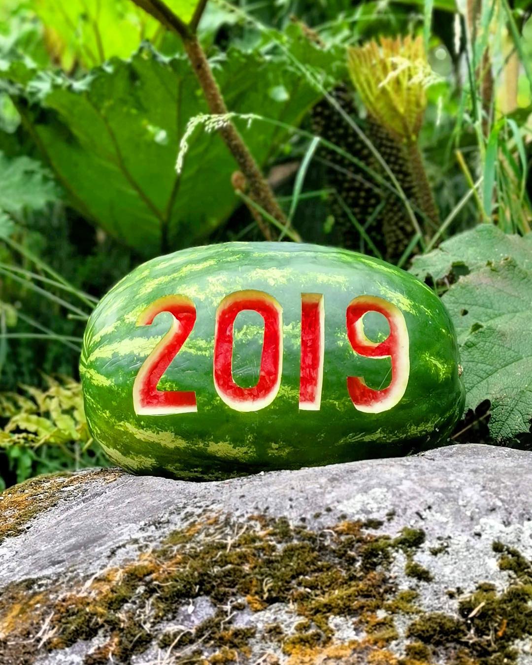 Hola 2019