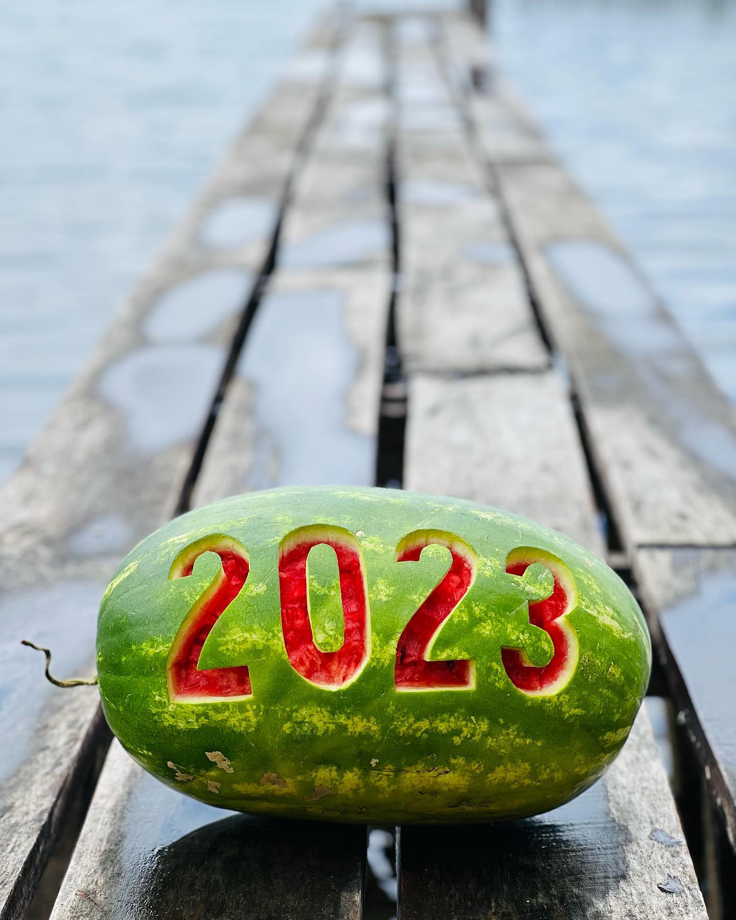 Hola 2023