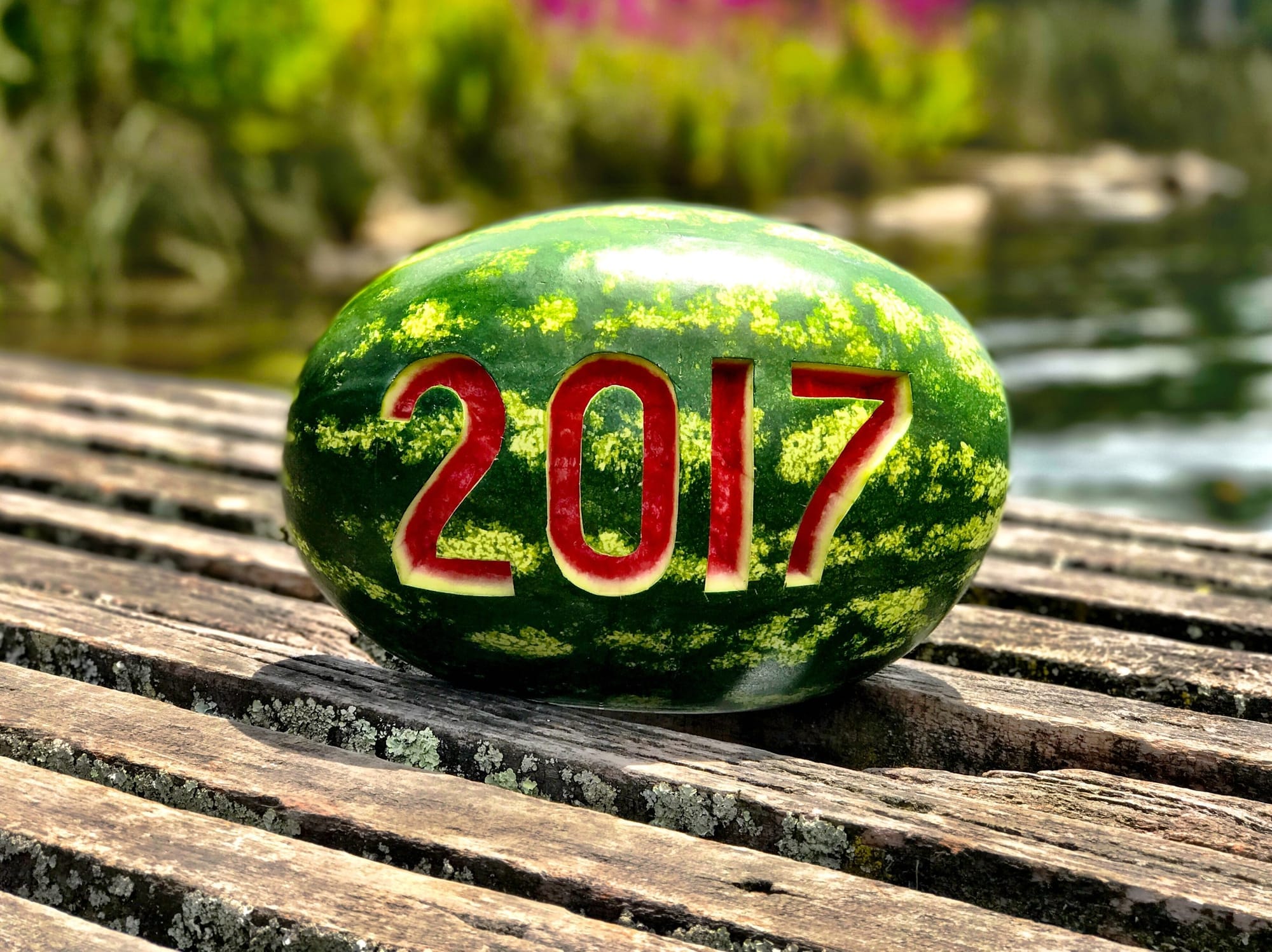 Hola 2017