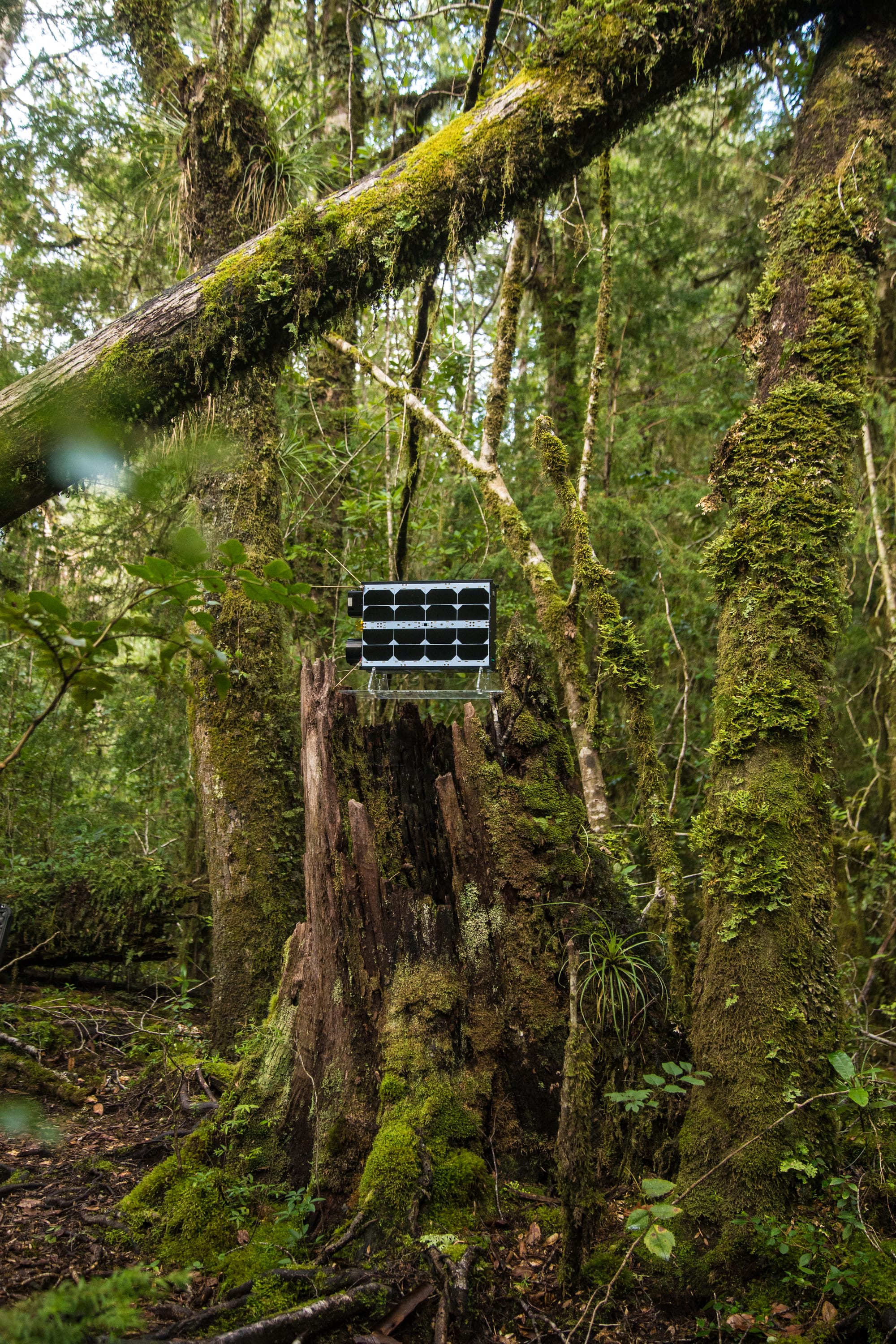 ¿Por qué es chileno el primer satélite de biodiversidad?