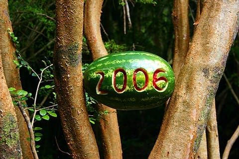 Hola 2006