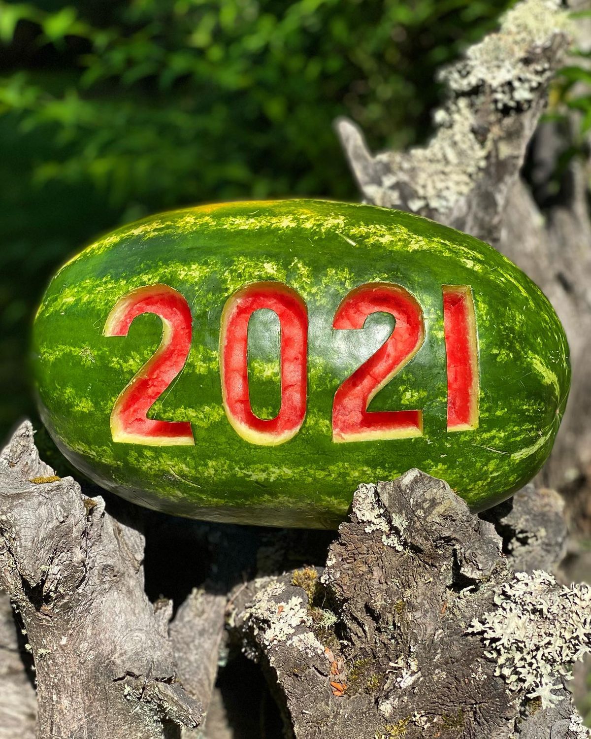 Hola 2021