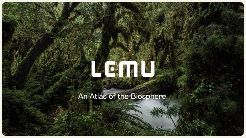 Lemu dice Hola