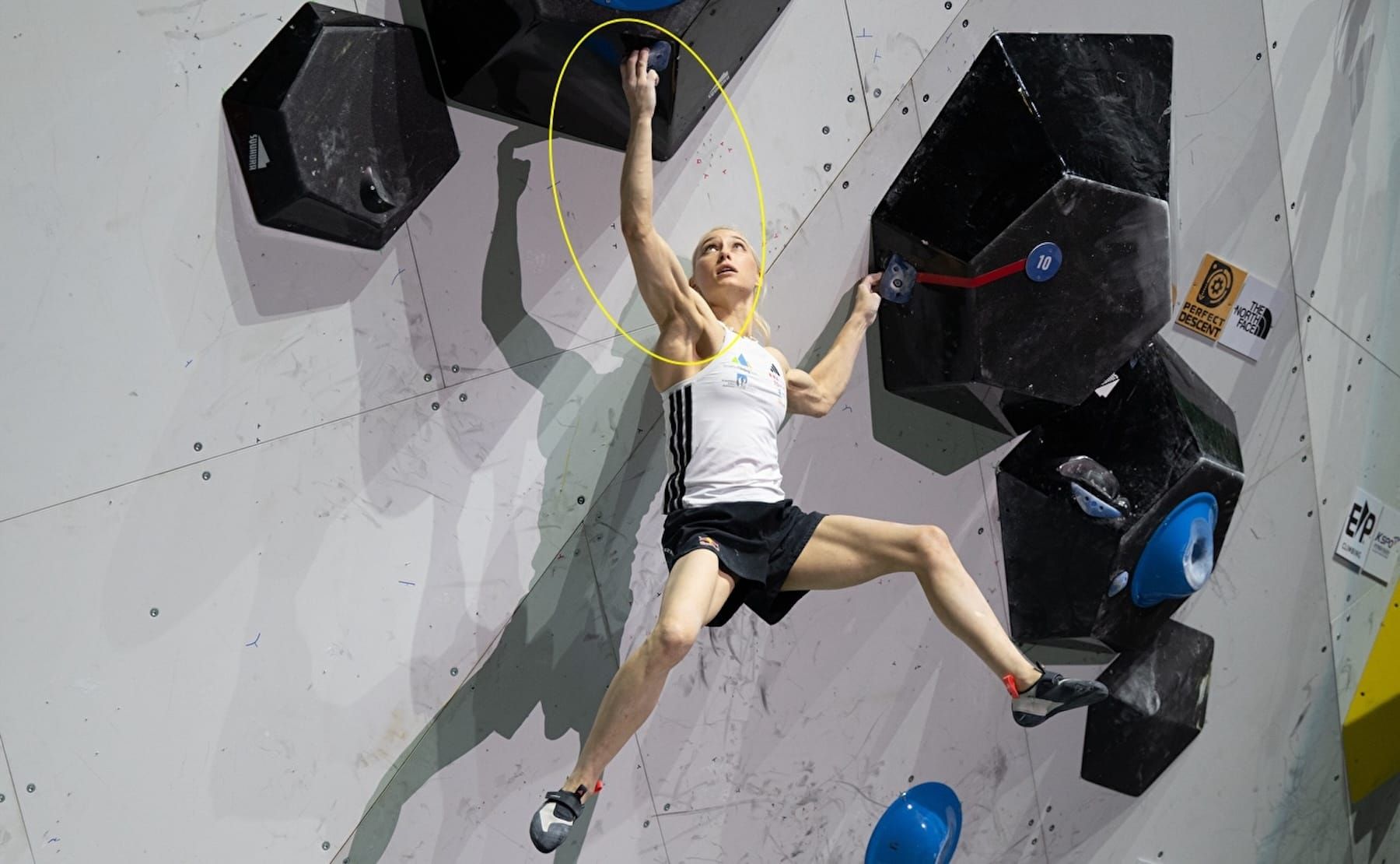 Why 1 Arm Training is So Important