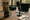 AI Companions, Unicorn Odds, and Southeast Asia’s Next 100 Years of Startups - E605