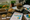 Felix Collins: 20 Million Black Soldier Fly Farming, Food Waste Insights & Low Carbon Future - E576