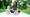 FINSMES: "Higher Ground Education Acquires CozyKin"