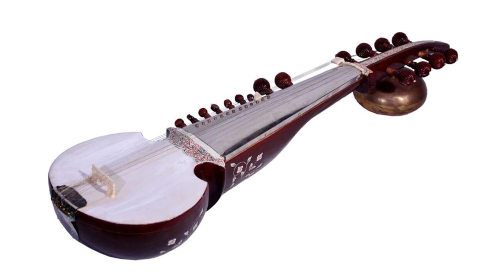 Sarod - Indian Musical Instruments